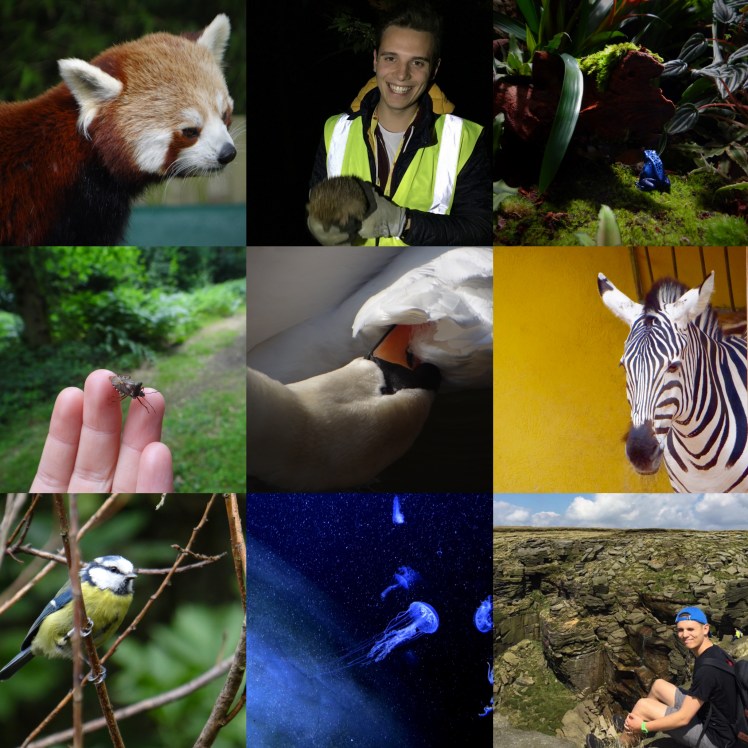 About me collage.jpg