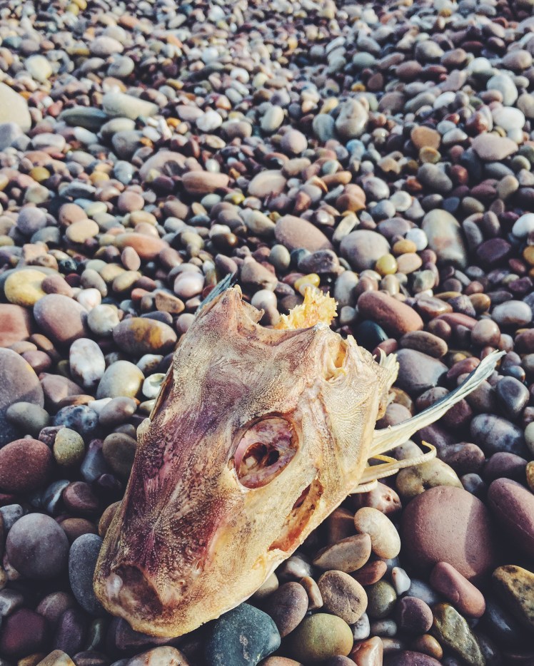 Processed with VSCOcam with f2 preset